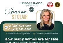 How many homes are for sale in Pittsburgh right now?